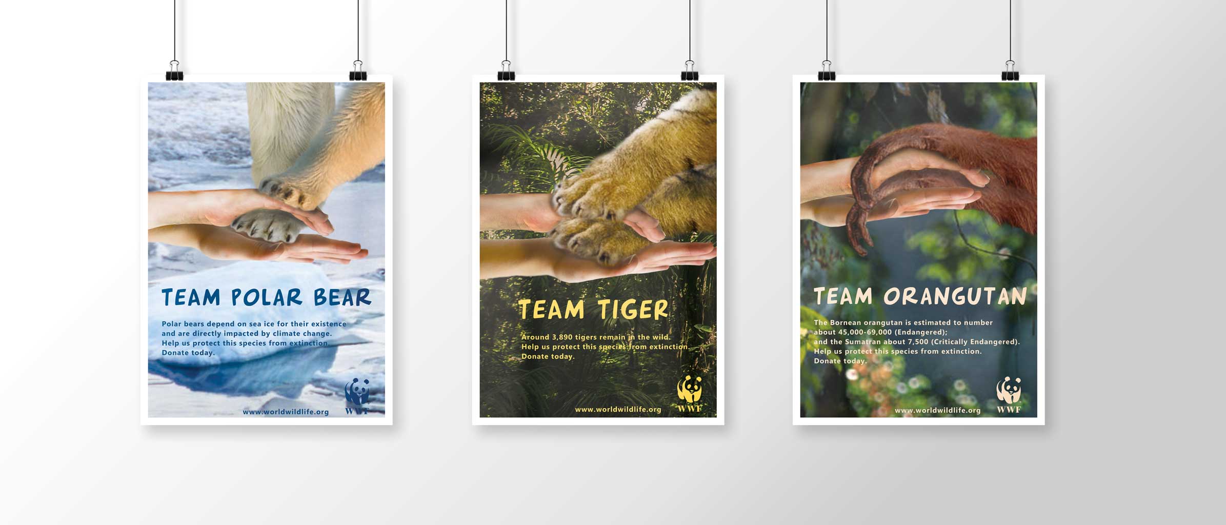 Endangered Animals Poster Wwf